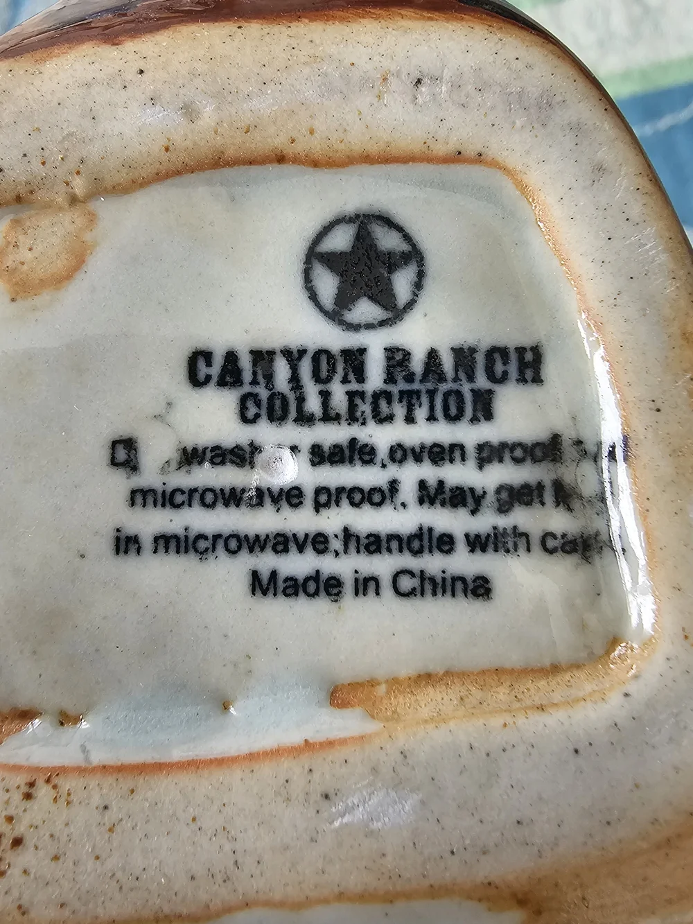 Upcycled Boot Mug Planter Canyon River